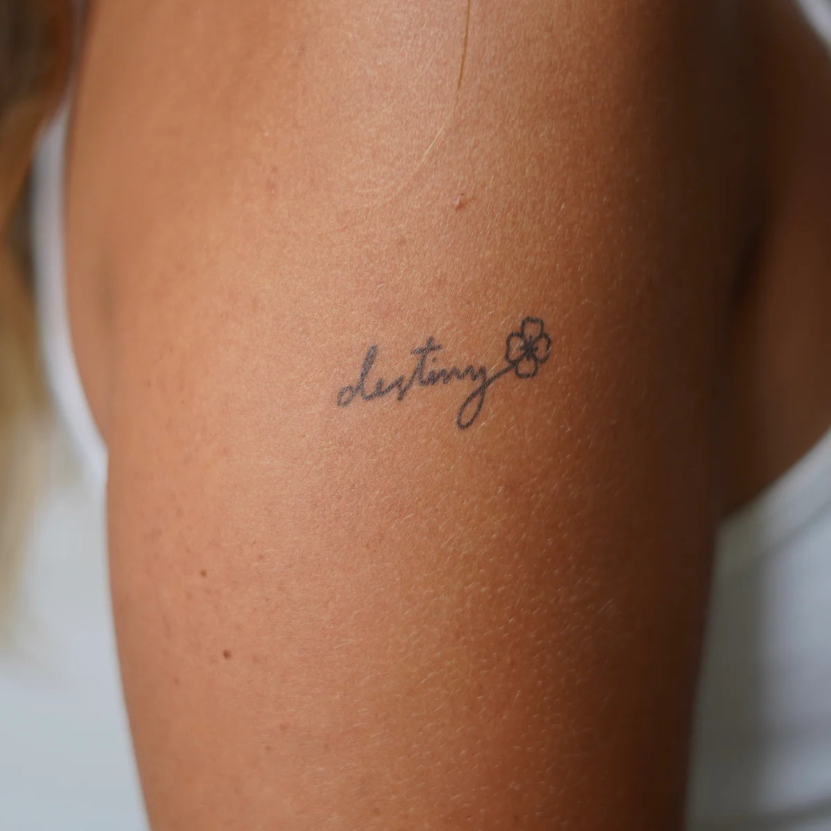 DREAM/ER